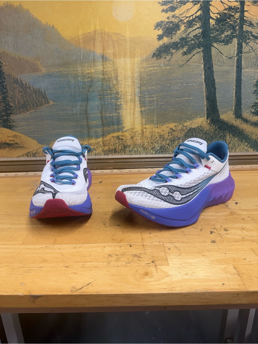 Saucony Endorphin Pro 4 White, Purple & Blue running Sneakers women’s size 9.5